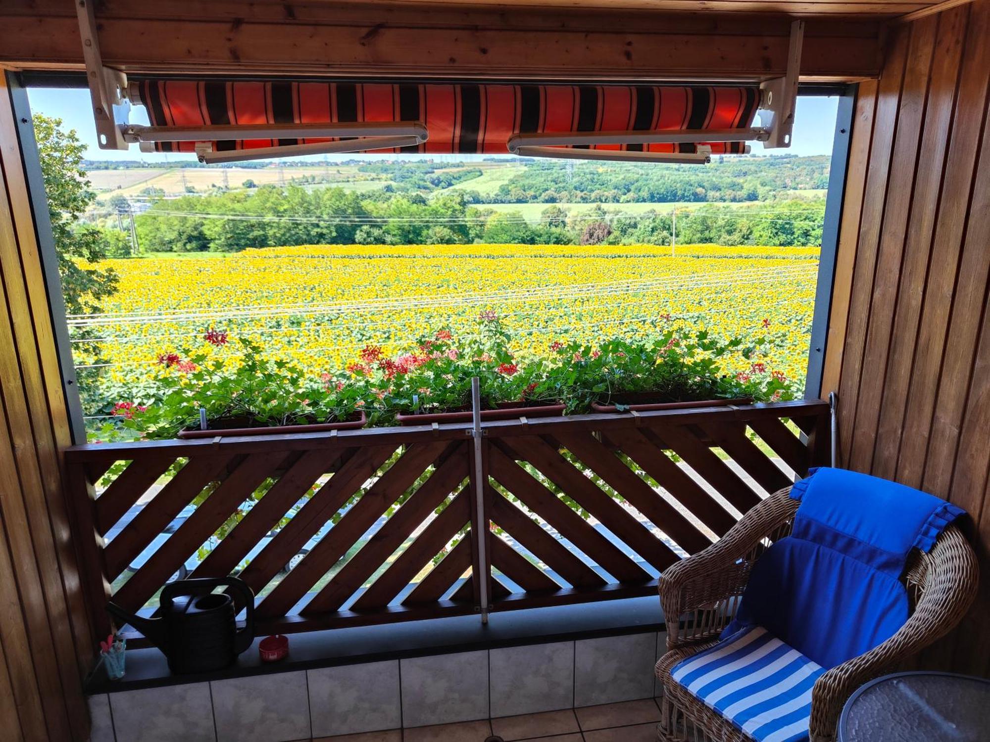Viola House Hotel เฮวิซ ภายนอก รูปภาพ